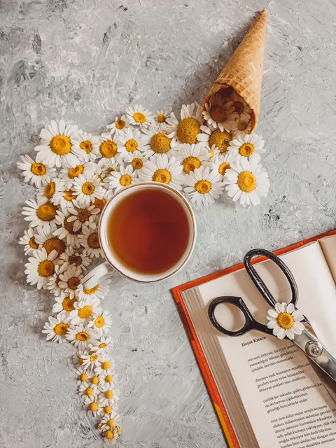 Fond d'écran mobile Nature Morte Douce · aesthetic · 1440×1920