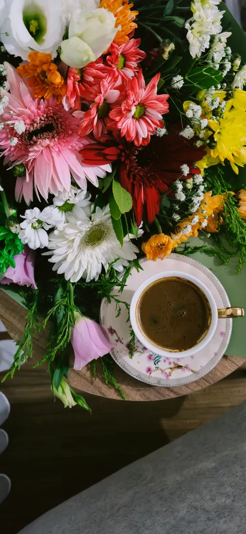 Fondo de Pantalla para Móvil Bodegón Suave · aesthetic · 1440×3118