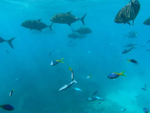 Tapeta Rafa Koralowa 4K · ocean · 3840×2880