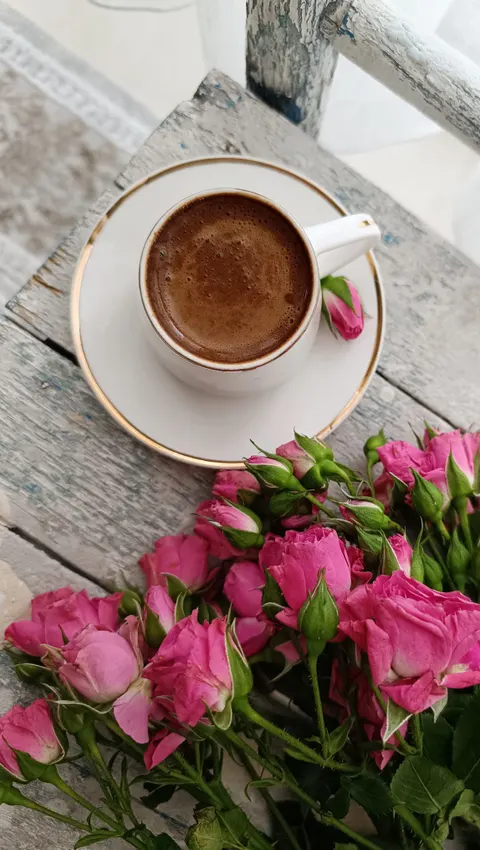 Soft Still Life Phone Wallpaper · aesthetic · 1440×2548