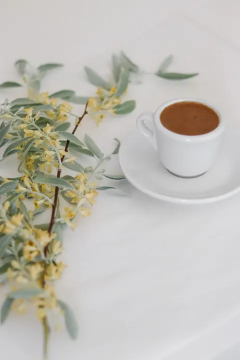 Fondo de Pantalla para Móvil Bodegón Suave · aesthetic · 1440×2160