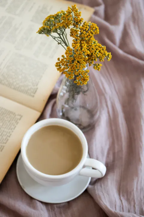 Delikatna martwa natura Tapeta na Telefon · aesthetic · 1440×2160