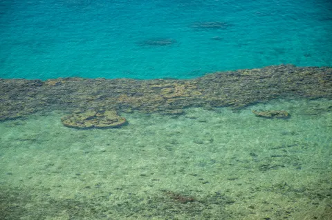 خلفية الشعاب المرجانية بدقة 4K · ocean · 3840×2553
