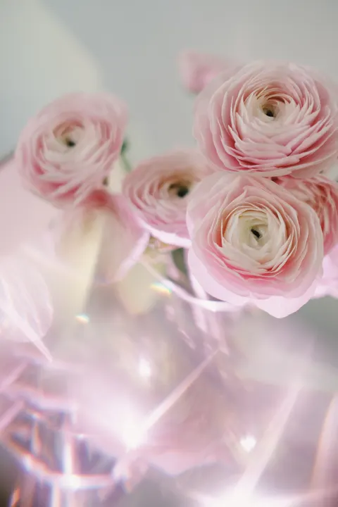 सॉफ्ट ब्लूम मोबाइल वॉलपेपर · aesthetic · 1440×2160