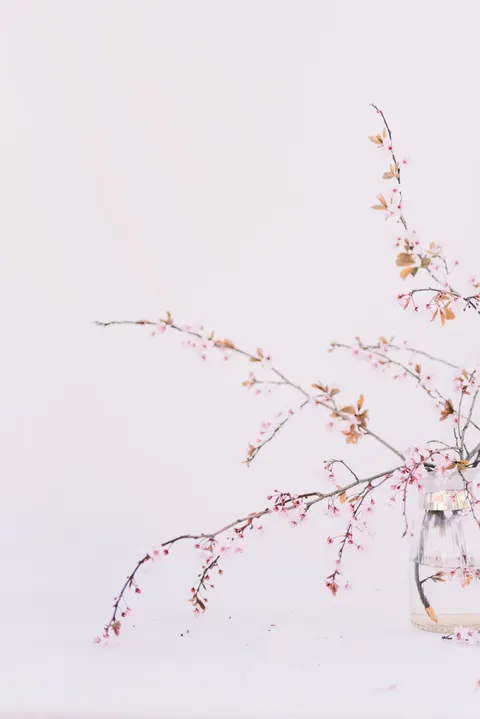 Bloom Lembut Wallpaper HP · aesthetic · 1440×2157