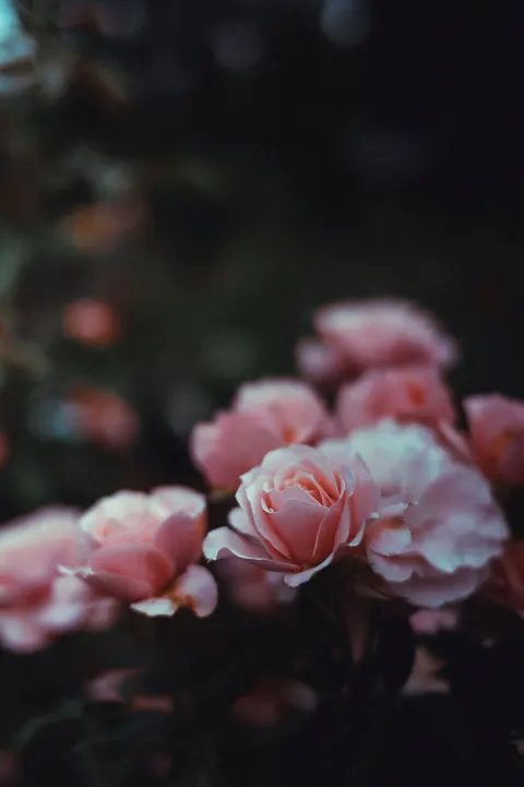 Fondo de Pantalla para Móvil Halo Suave · aesthetic · 1440×2164
