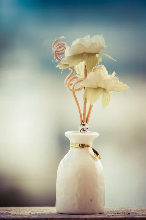 شکوفایی نرم والپیپر موبایل · aesthetic · 1440×2160