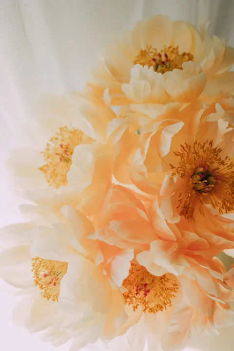 सॉफ्ट ब्लूम मोबाइल वॉलपेपर · aesthetic · 1440×2164