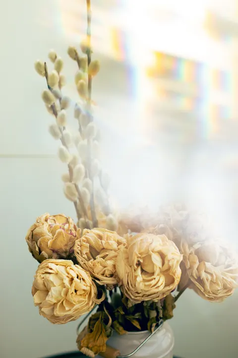 Zachte gloed Telefoon Achtergrond · aesthetic · 1440×2160