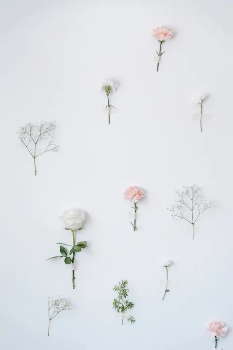 Brilho Suave Papel de Parede para Celular · aesthetic · 1440×2160