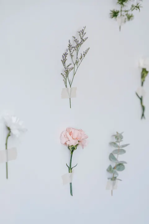 Мягкое цветение обои для телефона · aesthetic · 1440×2160