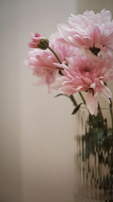 Miękka poświata Tapeta na Telefon · aesthetic · 1440×2562