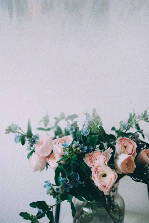 Fond d'écran mobile Halo Doux · aesthetic · 1440×2160