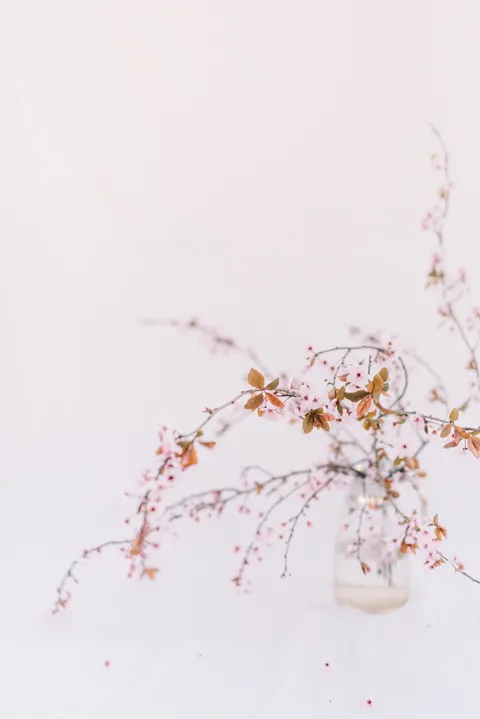 Soft Bloom Phone Wallpaper · aesthetic · 1440×2157