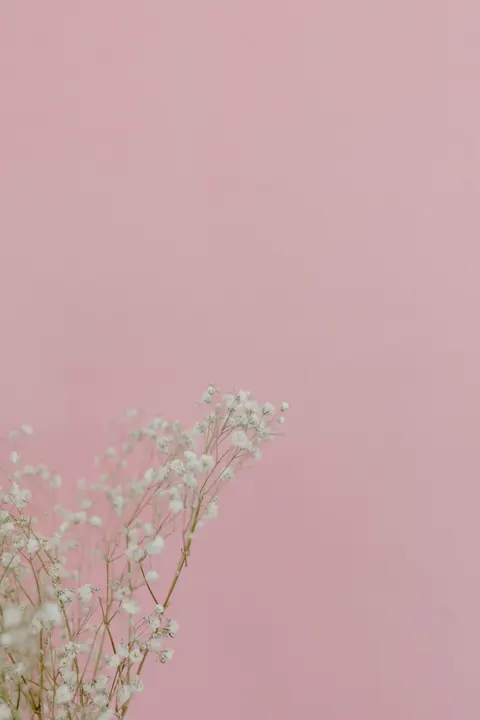 ソフトブルーム スマホ壁紙 · aesthetic · 1440×2160