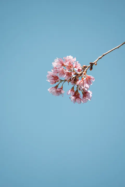 Miękka poświata Tapeta na Telefon · aesthetic · 1440×2160