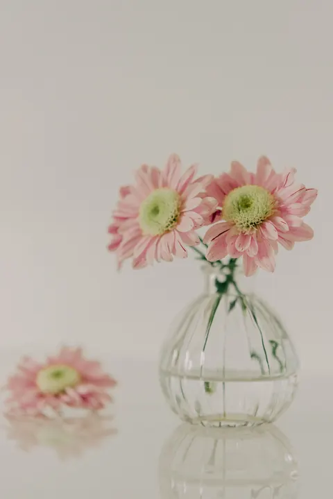 Fond d'écran mobile Halo Doux · aesthetic · 1440×2157