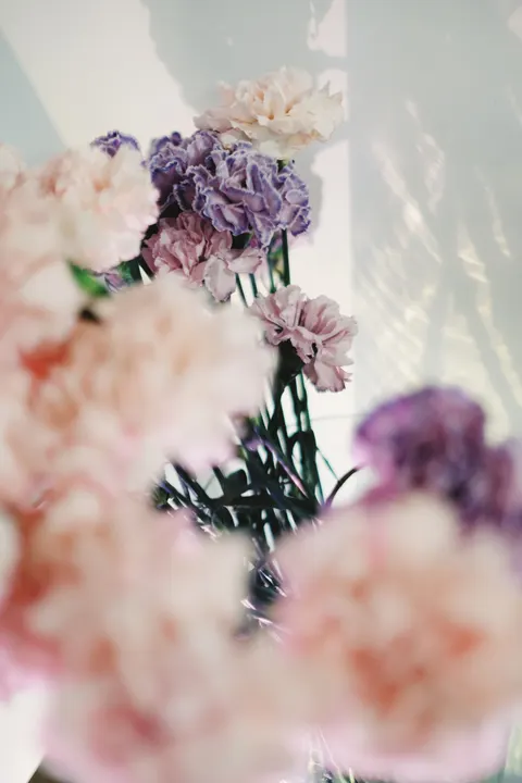 Soft Bloom Phone Wallpaper · aesthetic · 1440×2160