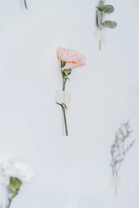 Мягкое цветение обои для телефона · aesthetic · 1440×2160