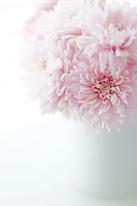 ソフトブルーム スマホ壁紙 · aesthetic · 1440×2160