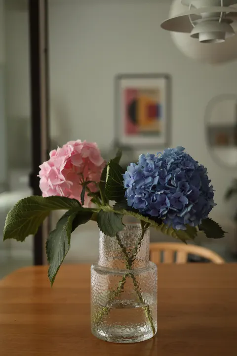 شکوفایی نرم والپیپر موبایل · aesthetic · 1440×2160