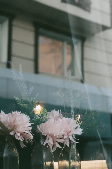 شکوفایی نرم والپیپر موبایل · aesthetic · 1440×2160