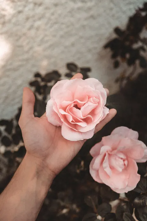 Miękka poświata Tapeta na Telefon · aesthetic · 1440×2160