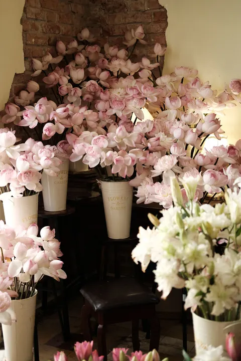 شکوفایی نرم والپیپر موبایل · aesthetic · 1440×2160