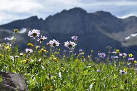 Natur 4K Hintergrundbild · nature · 3840×2560