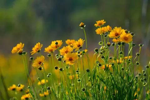 자연 4K 배경화면 · nature · 3840×2561