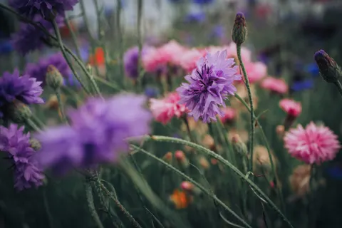Natur 4K Hintergrundbild · nature · 3840×2563