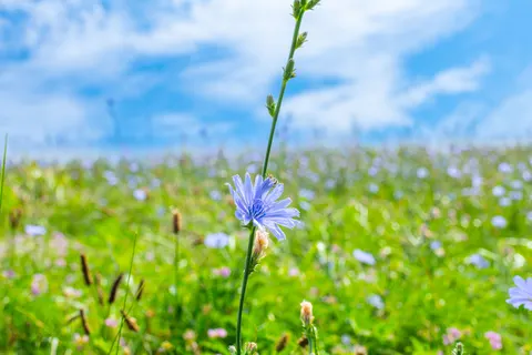 Natur 4K Hintergrundbild · nature · 3840×2560