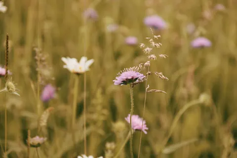 Natur 4K Hintergrundbild · nature · 3840×2560