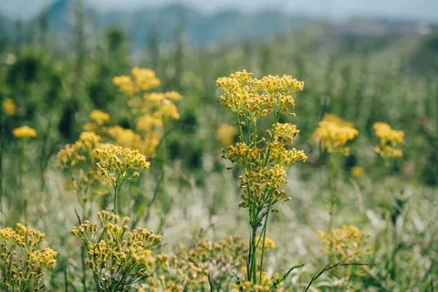 자연 4K 배경화면 · nature · 3840×2560