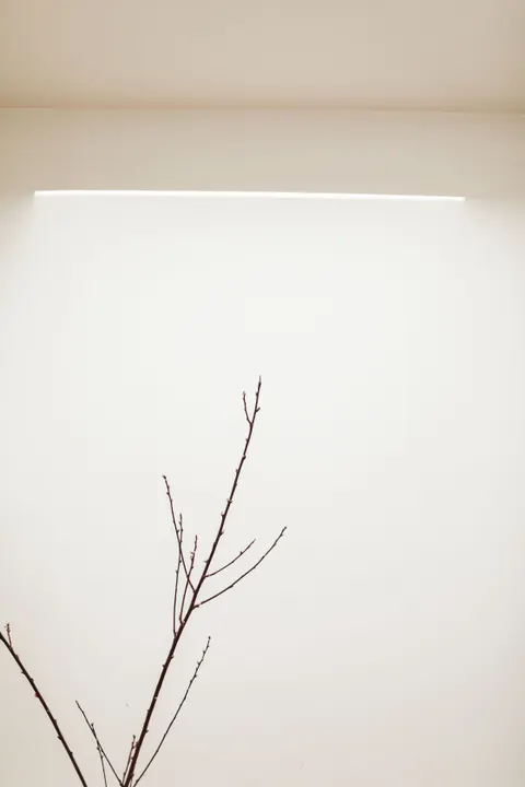 靜謐線條 手機桌布 · aesthetic · 1440×2160