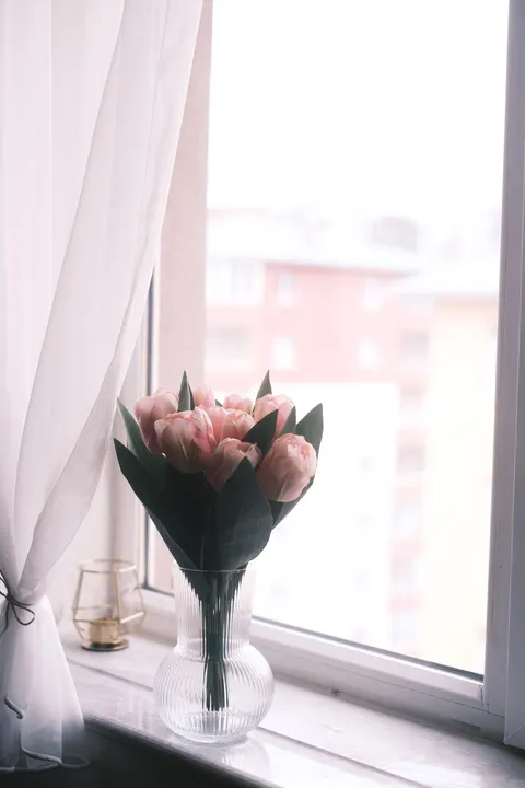 Fond d'écran mobile Lumière de Rideau · aesthetic · 1440×2160