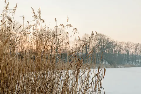 Frozen Lake 4K Wallpaper · nature · 3840×2560