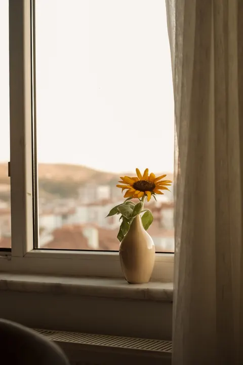 Licht durch Vorhänge Handy-Hintergrundbild · aesthetic · 1440×2160