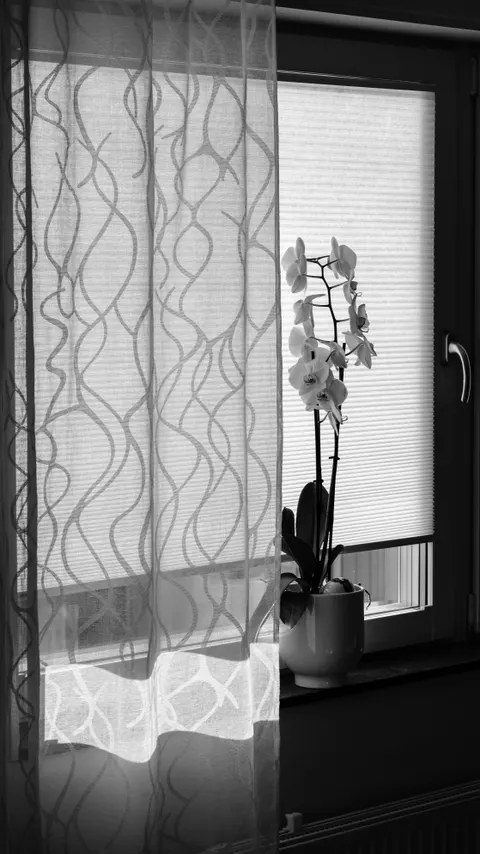 Licht durch Vorhänge Handy-Hintergrundbild · aesthetic · 1440×2561