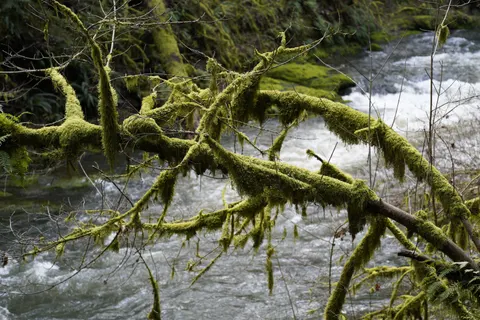 Natur 4K Hintergrundbild · nature · 3840×2560