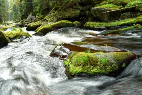 森林溪流 4K桌布 · nature · 3840×2560