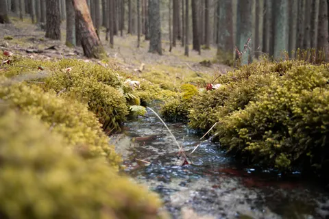 Natur 4K Hintergrundbild · nature · 3840×2560