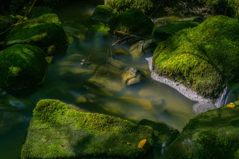 Natur 4K Hintergrundbild · nature · 3840×2560