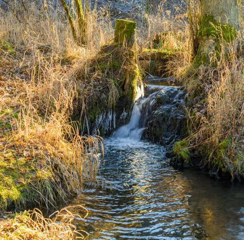 Forest Stream 4K Wallpaper · nature · 3840×3781