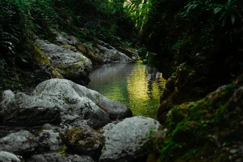 Обои Лесной ручей 4K · nature · 3840×2560