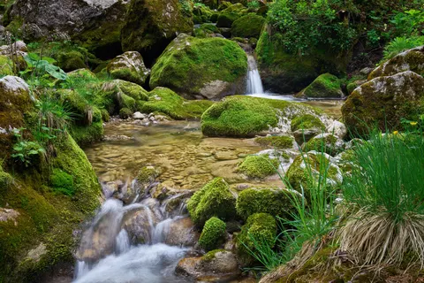 Forest Stream 4K Wallpaper · nature · 3840×2560