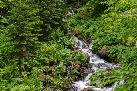 森林溪流 4K桌布 · nature · 3840×2563