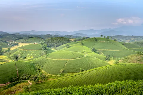خلفية تلال خضراء بدقة 4K · nature · 3840×2560