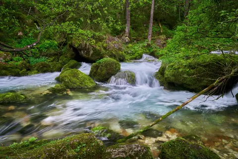 Forest Stream 4K Wallpaper · nature · 3840×2560