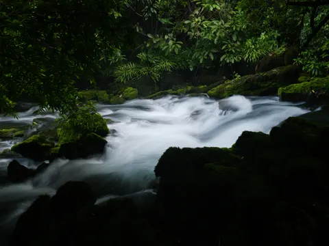 Forest Stream 4K Wallpaper · nature · 3840×2883